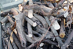 Pile of cut logs ready for fire photo