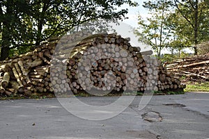 Pile of cut lumber wood