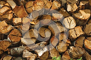 Pile of cut rustic wood in a sunny day