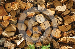 Pile of cut rustic wood in a sunny day