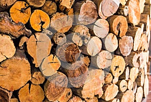 Pile of cut wood stump log texture Used as background