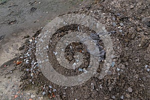 Pile of dark construction gardening soil mud land earth dirt heap pile mound, freshly dug, with some wet soil and leaves