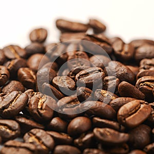 Pile of dark roasted coffee beans on white background