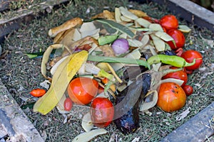 Pile of decomposed vegetables in a composter.