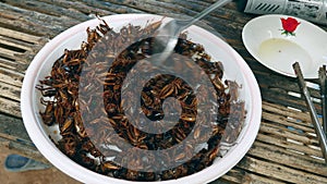 Pile of deep fried grasshoppers in a plastic plate 