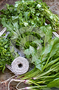 A pile of different types of fresh herbs.