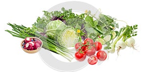 Pile of different vegetables and potherb on a light background