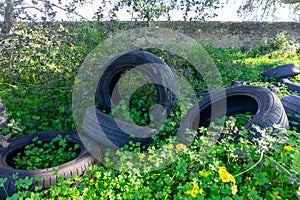 Pile of discarded tires in the field, polluting the environment.