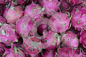 Pile of dragon fruit for background,wallpaper and backdrop