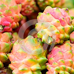 Pile Dragon fruit in the market.
