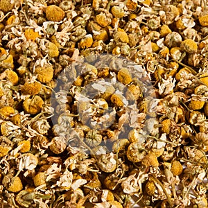 Pile of dried chamomile flowers