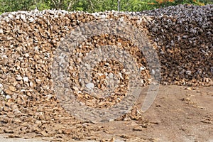 A pile of dried coconut shells.