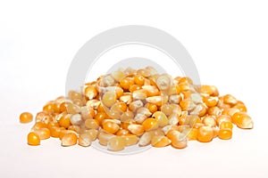 Pile dried corn isolated