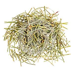 Pile of dried Field Horsetail isolated on white background.