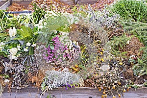 Pile of dried flowers at a cemetery after All Saints Day