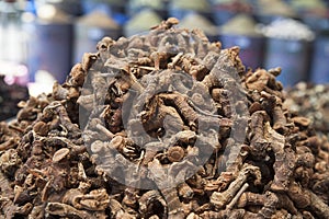 Pile of dried galangal roots, a spice closely related to ginger and turmeric in a spice shop in Marrakesh, Morocco