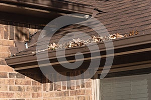 Pile of dried leaves on rain gutter of residential home in Texas