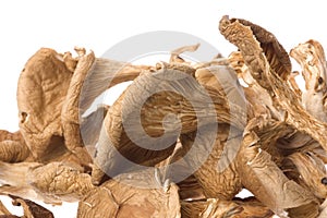 Pile of dried mushrooms