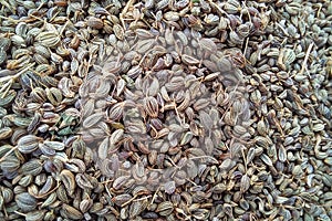 Pile of dried parsley seeds texture. Top view. Close up
