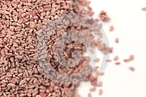 A Pile of Dried Red Raspberry Seeds Isolated on a White Background