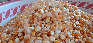 A Pile Of Dried Seed Corn
