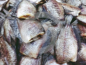 Pile of Dried Trichogaster pectoralis fish close up