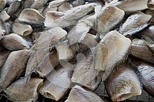 Pile of Dried Trichogaster pectorals in fish market