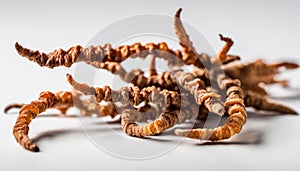 A pile of dried twigs on a white background