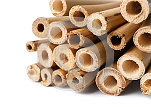 Pile of dry bamboo sticks