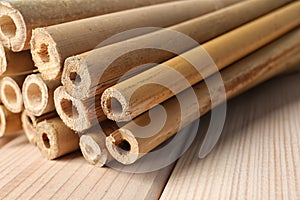 Pile of dry bamboo sticks