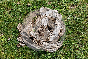 A pile of dry cow dung (cowpat) on green grass