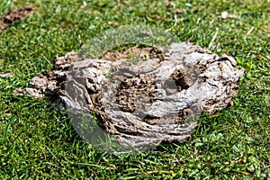 A pile of dry cow dung (cowpat) on green grass