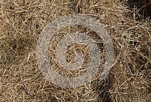 Pile of dry grass or straw