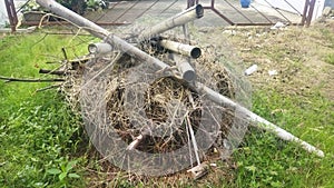 pile of dry leaves and bamboo photo