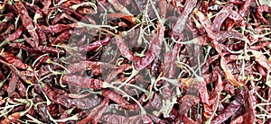 Pile of dry red hot and spicy chillies