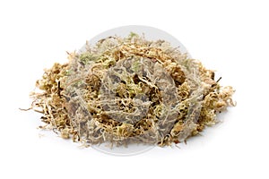 Pile of dry sphagnum moss