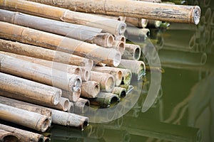 Pile of dry sticks bamboo on waterside