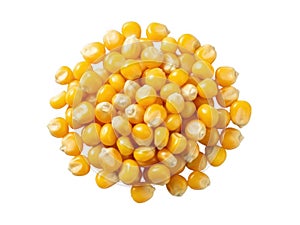 A pile of dry yellow corn kernels against a solid black background