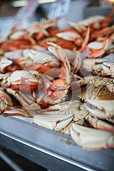 Pile of Dungness Crabs for Sale at Market