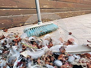 Pile of dust included dried leaves and feathers and any other dusts on the ground with a long sweeping brush.