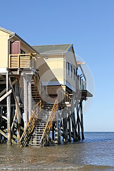 Pile dwelling on the North Sea coast