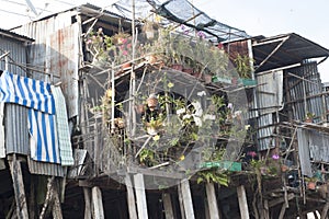 pile dwellings. at the mekong vietnam