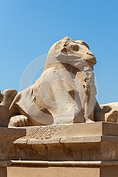 A pile of effigies of rams arranged in a row, Karnak temple, Luxor, Egypt