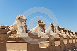A pile of effigies of rams arranged in a row, Karnak temple, Luxor, Egypt