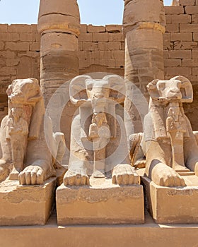 A pile of effigies of rams arranged in a row, Karnak temple, Luxor, Egypt