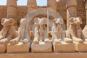 A pile of effigies of rams arranged in a row, Karnak temple, Luxor, Egypt