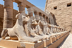 A pile of effigies of rams arranged in a row, Karnak temple, Luxor, Egypt