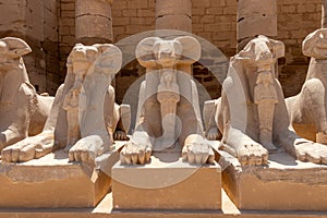 A pile of effigies of rams arranged in a row, Karnak temple, Luxor, Egypt