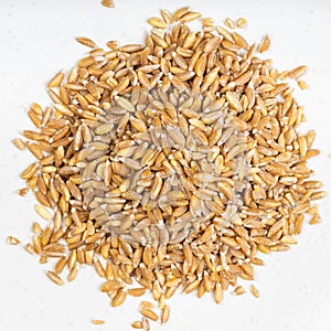 De pelado trigo granos de cerca 