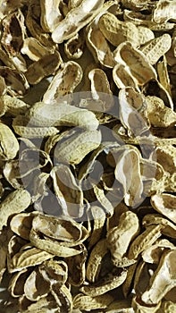 a pile of empty peanut shells